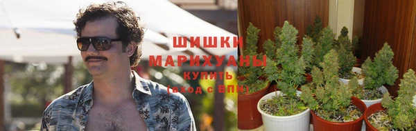 прущие крисы Заводоуковск