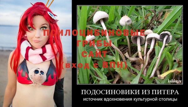 мдма Заволжск