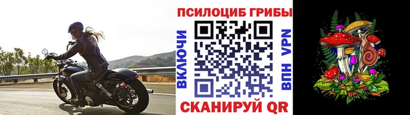 гидра вход  Касли  Галлюциногенные грибы Psilocybine cubensis  купить наркотик 